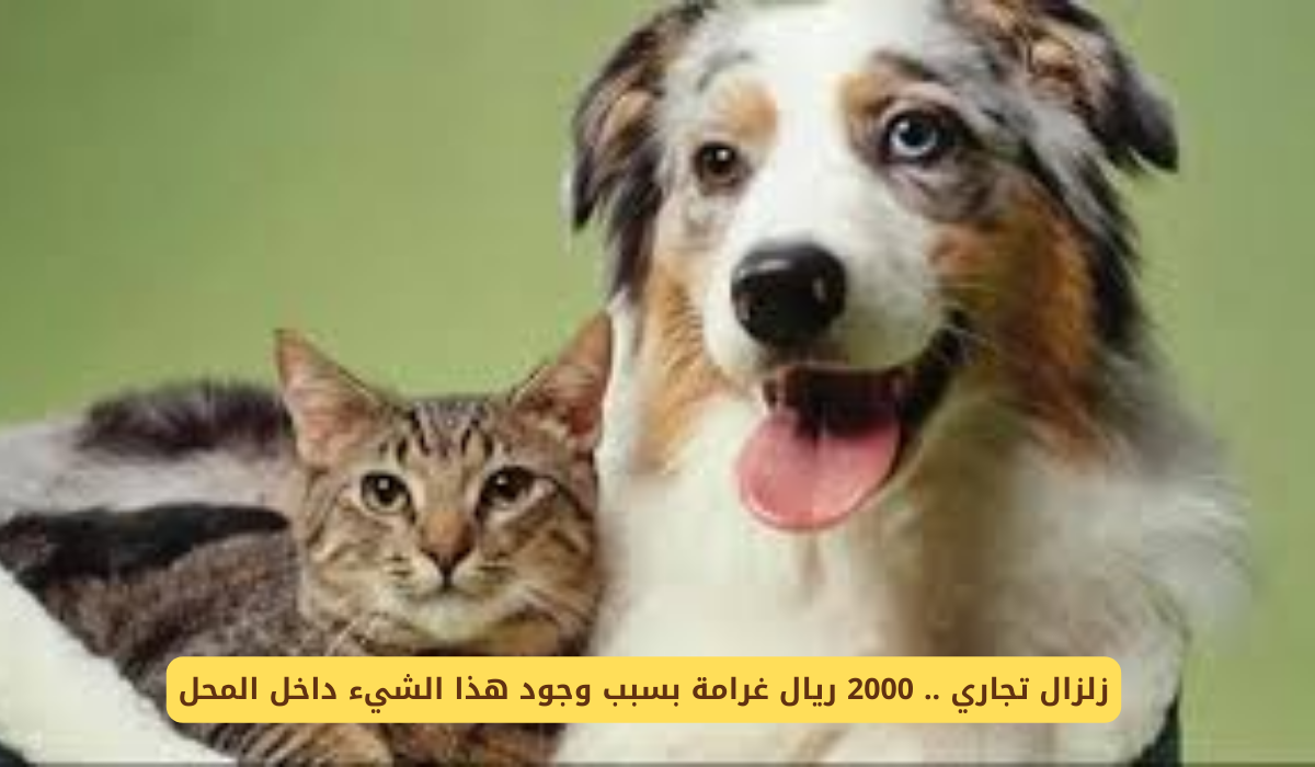 وزارة الشؤون البلدية والقروية