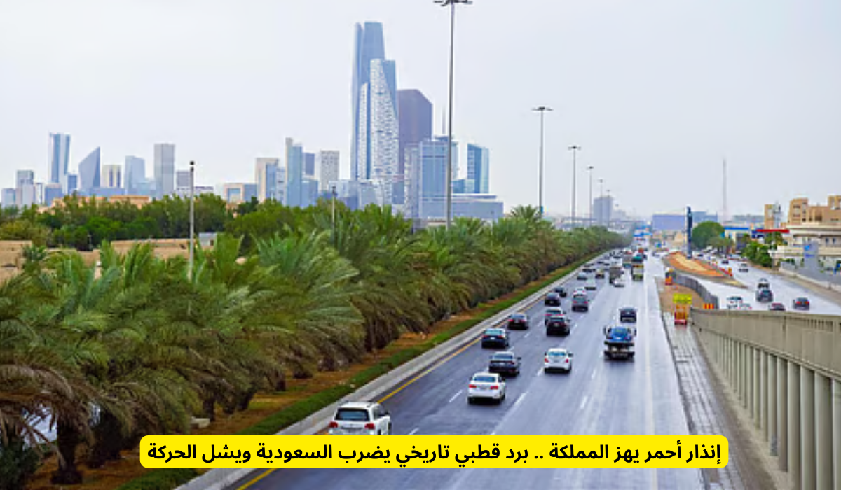 برد قطبي تاريخي يضرب السعودية