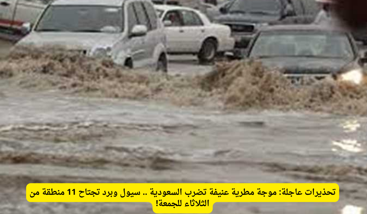 حالة مطرية في السعودية